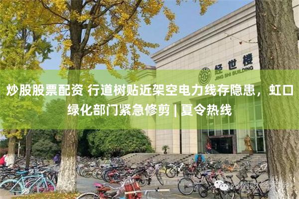 炒股股票配资 行道树贴近架空电力线存隐患，虹口绿化部门紧急修剪 | 夏令热线