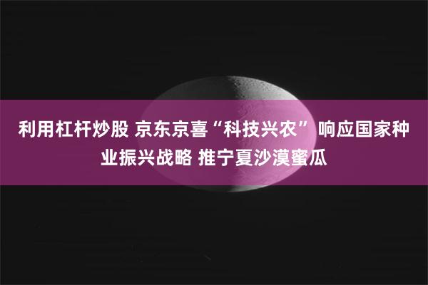 利用杠杆炒股 京东京喜“科技兴农” 响应国家种业振兴战略 推宁夏沙漠蜜瓜